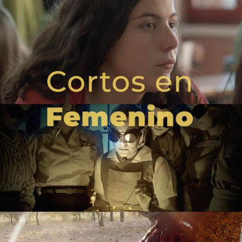 Cortos en femenino, en LINEA 
